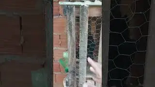Remédio  muito bom 