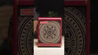 Spark MINI x Steve VAI