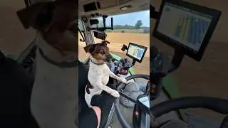 🐶🚜 Piękne traktory #traktor #gospodarstwoleśne #rolnictwo #fendt #obr&oacute;bkadrewna #johndeere