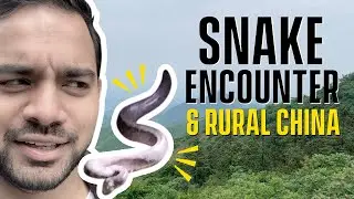 Rural China Vlog | Moganshan Discoveries