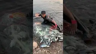 Amazing fish technique skills  big river#shorts #ffishing#fishingshorts #desifishing #net fishing