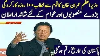 PTI government's 100 days performance in a special ceremony