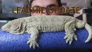 All our LEACHIES!! (Update)