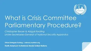 Virtual Delegate Training: What Is Crisis Parliamentary Procedure?