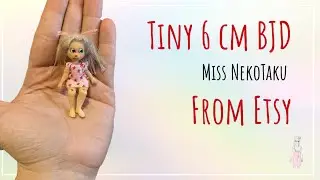 Unboxing Tiny 6 cm BJD from Miss NekoTaku on Etsy 볼 조인트 인형 상자 개봉 및 검토