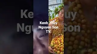 Chia sẻ một cảnh hai hước Chủ vườn nhỏ coi hết lip n&agrave;y nha.Kenh Thủy Nguy&ecirc;n Son TV.
