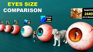 Eye Size Comparison | Animal & Monster Eyes size comparison 2025