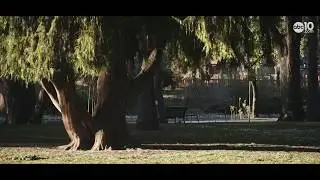 McKinley Park | Stay at Home Snapshot