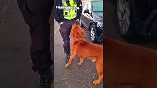 police talk with the blade