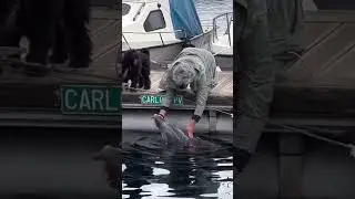 Day 17 posting random vids until my new electronic album pops off