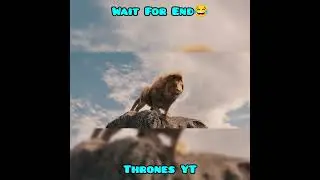 Wait for End 😂 | PUBG Funny Video | The Lion King 😂