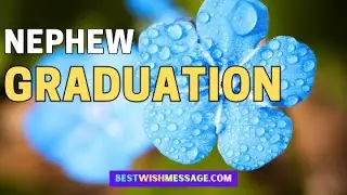 Graduation Wishes for Nephew | Inspirational Messages to Celebrate Success