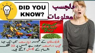 Informative and interesting facts about the world |دلچسپ معلومات #informations with SK