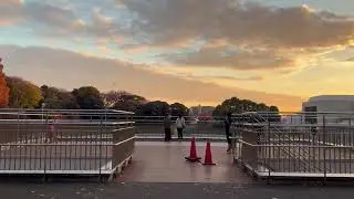 番外：慶應大学（日吉）紅葉（2025年11月29日）