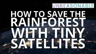 Saving the Rainforest with Microsatellites | Yuya Nakamura