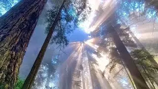 ንጋት