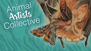 Animal Artists Collective // Temperate Forests &mdash; Northern Long-Eared Myotis // Mary Sanche