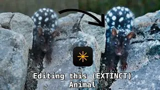How I edited this EXTINCT Animal in Luminar Neo | Single edit