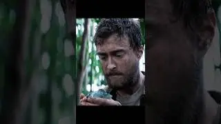 The Jungle Plays Cruel Tricks #shorts