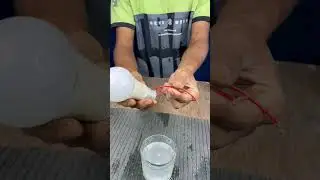generate free electricity with salt water real or not ??