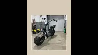 2025 New Electric Scooter: Disc Brake / 2000W Motor