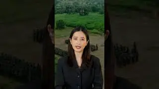 မြင်းခြံခရိုင် တော်လှန်ရေးတပ်ဖွဲ့  ၇ဖွဲ့ပေါင်းပြီး အထူးလှုပ်ရှားစစ်ကြောင်း ဖွဲ့စည်း| People's Spring