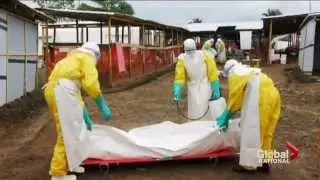 American doctor infected with Ebola flown home for treatment