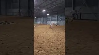 #horse #кони #equestrian #pony #jumping #horseing #equestrain #riding #конныймир #конныйспорт