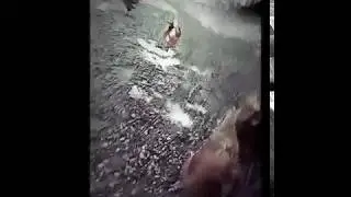 Zombie Chickens!!!! Watch till End!!
