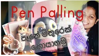 පෑනේ මිතුරෙක් හොයාගමු/ #penpalling #penpalswanted #snailmailideas