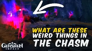 What are these red blue black things in the Chasm | Genshin Impact