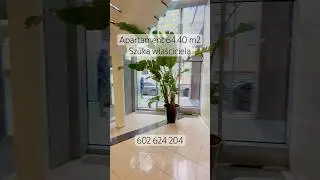 Apartament 64,40 m2 #flattour #forrent #realestate #apartment #roomtour #city #vlog #wrocław #love