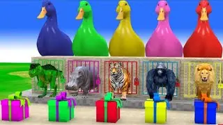Long Slide Game with Cow Elephant Gorilla Hippopotamus Tiger 3d Animal Game Funny 3d Animals- 1