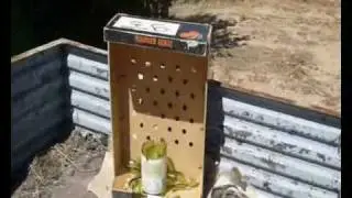 tir bouteille de vin Colt Sp&eacute;cial combat classic
