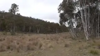 Exploring Mt Tennant Namadgi NP