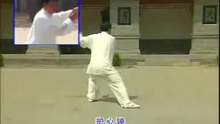 Chen Style Tai Chi - Old Frame One Teaching Video (9)