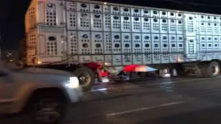 Pig Vigil with LA Animal Save