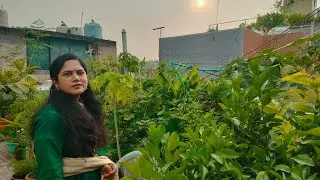 Ped paudhe  lagayen, prakriti se jude 