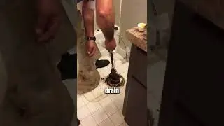 Вот почему ивы опасны! 😨