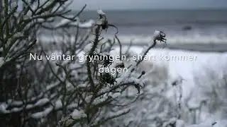 H&Ouml;STVISA FR&Aring;N SKAN&Ouml;R - Christopher Hansson 1989