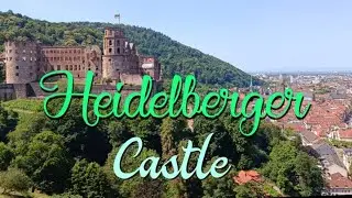 Heidelberg Castle 🇩🇪 13 Century Gothic Castle #heidelberg #castle #heidelbergcastle #deutschland 