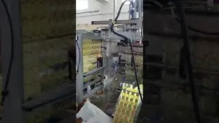Multitrack Pouch packing machine