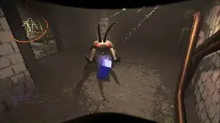 Dancing with the yippee bug