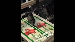 Digital Labels. Small Quantity with different Sku and artwork