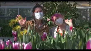 2022 Bulb Show