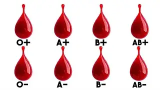Every Hidden Advantage of Your Blood Type Explained
