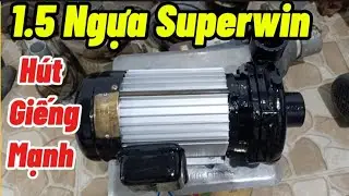 Hàng Víp Bơm nước Tân Hoàn Cầu 1.5hp Superwin hút giếng tưới vườn siêu mạnh. #điệncơlinhtv 
