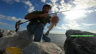 Catching speckeld trout/white trout using  plastics an live bait