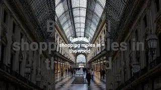 Beautiful shopping moles in the world # shorts #exploreworld