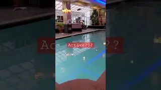 Crazy Hotel Signs: Active Diarrhea in the Pool?!?! #travel